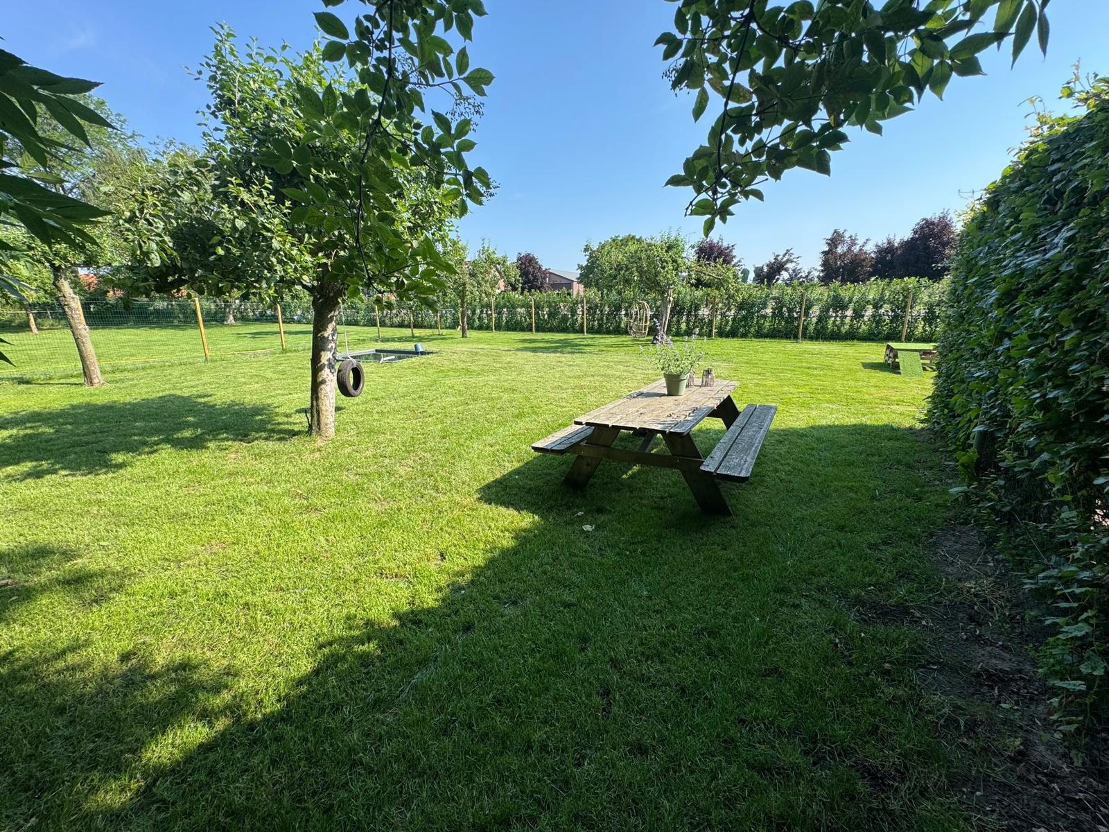buiten2.jfif